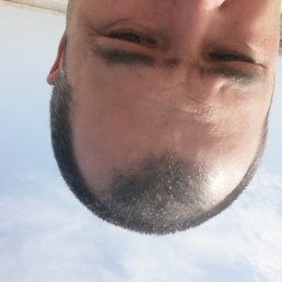 ������, ������, 43 ����