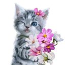 ���� �����, ����, 48 ��� - ��������� 6 ������ 2019 � ������ ���� ����������