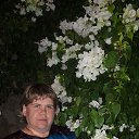 ���� ��������, ������ �����, 43 ���� - ��������� 4 ������ 2019 � ������ ���� ����������