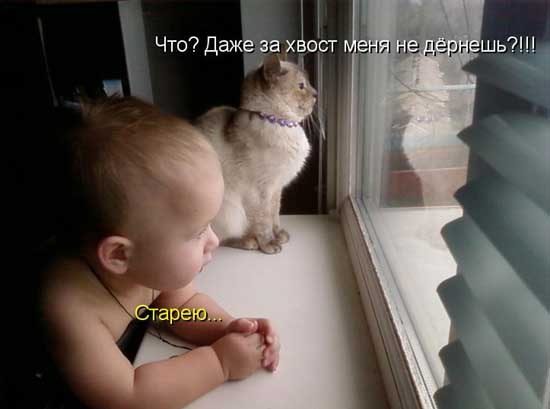 Когда свадьба? - На горизонте. - А что такое горизонт? - Горизонт - это воображаемая линия, которая ...