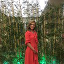 ���� ������, ���, 52 ���� - ��������� 13 ���� 2019 � ������ ���� ����������