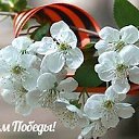 ���� ���������, ����������, 55 ��� - ��������� 10 ��� 2019 � ������ ������ ��������