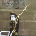 ���� Nikolay, ���������, 51 ��� - ��������� 8 ������ 2019