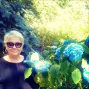 ���� ����������, ����������� - ��������� 2 ������� 2019 � ������ ������ ��������