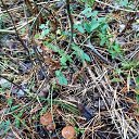 ���� �������, ����������, 39 ��� - ��������� 11 �������� 2019 � ������ ������ ��������