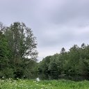 ���� �������, �������� - ��������� 12 ���� 2019