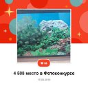 ���� ������, ������, 55 ��� - ��������� 8 ������ 2019 � ������ ������ ��������