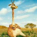 ���� ������ ����-115 ��., �������, 38 ��� - ��������� 23 ���� 2019 � ������ ���� ����������