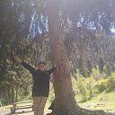 ���� �����, ������, 48 ��� - ��������� 31 ��� 2019 � ������ ���� ����������