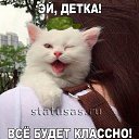 ���� �����, ��������, 54 ���� - ��������� 21 ������� 2019 � ������ ���� ����������