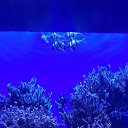 ���� ��������, ��������, 54 ���� - ��������� 5 ������� 2019 � ������ ���� ����������