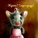 ���� ������, ������, 51 ��� - ��������� 1 ������ 2020 � ������ ���� ����������