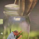 ���� ���������, ��������, 63 ���� - ��������� 27 ���� 2019 � ������ ���� ����������