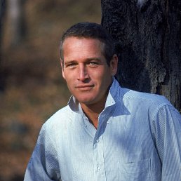 ����������, �����, 52 ����