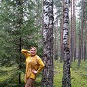  , , 58  -  5  2019    2019