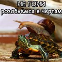 ���� �����������, ������� - ��������� 24 ���� 2019 � ������ ������ ��������