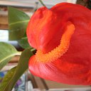 ���� Viktor, ������������, 63 ���� - ��������� 17 �������� 2019