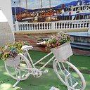 ���� ������, ����������� - ��������� 16 ������� 2019 � ������ ������ � ���������