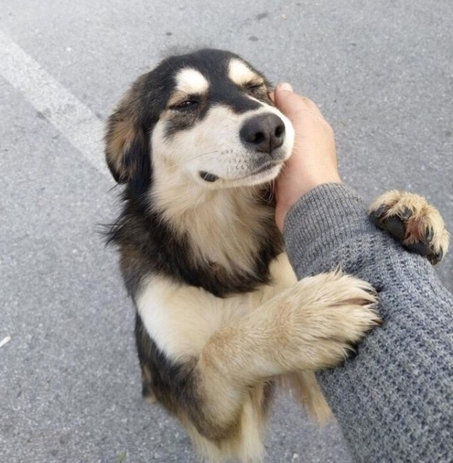 ���o�� � ������ �o���p���� :3 - 5