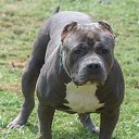 ���� Grisha, ��������, 40 ��� - ��������� 9 ���� 2019 � ������ ���� ����������