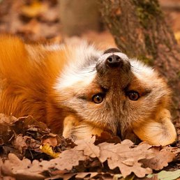 ���� ����, ����������, 53 ���� - ��������� 30 ���� 2019