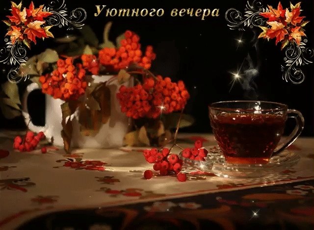   ,    . - 8  2019  17:01