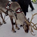 ���� ����, ���� - ��������� 2 ������ 2020 � ������ ���� ����������