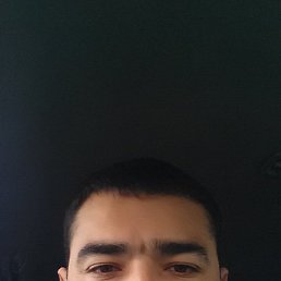 ������, �������, 41 ���