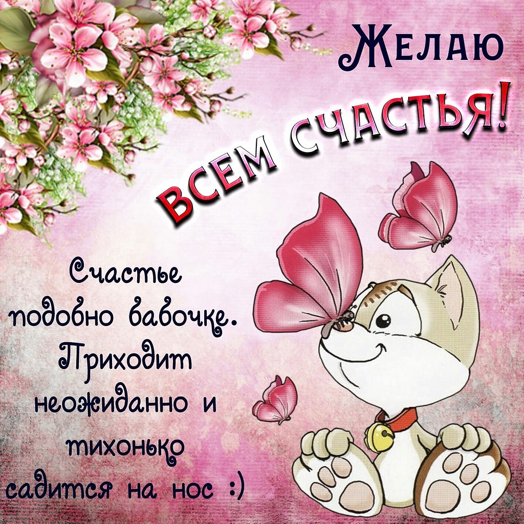 Поздравления с днём рождения женщине. Желаем счастья. Поздравляю с днем рождения, счастья, радости, веселья. Открытки с пожеланиями добра. Пожелания счастья.