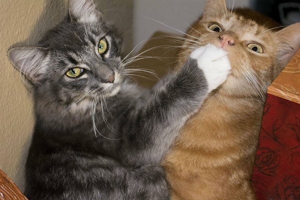 Наверное у каждого есть такой друг, который слишком много болтает, и которому не помешало бы сделать ... - 2