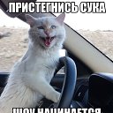 ���� ���� Ltd, �������� - ��������� 4 ������ 2019 � ������ ������ ��������