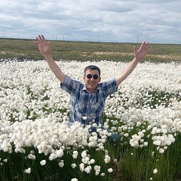 �����, ����� �������