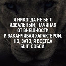 &laquo; ����� &raquo;, ���������, 84 ����