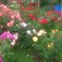 ���� �������, ������, 68 ��� - ��������� 17 ���� 2019 � ������ �2019�