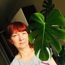 ���� �������, ��������� - ��������� 26 ������ 2019 � ������ ���� ����������