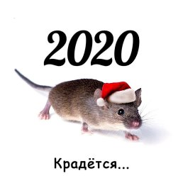 ���� ���������, �����-���������, 51 ��� - ��������� 8 ������� 2019