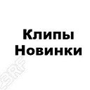 ���� ��������, �����������, 40 ��� - ��������� 7 ������� 2019 � ������ ������ ��������