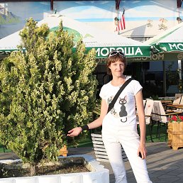 ���� �������, ���������, 37 ��� - ��������� 26 ���� 2019