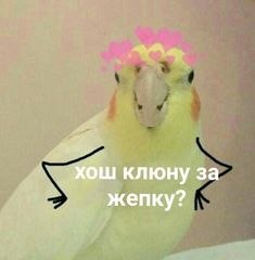     ))) - 7  2019  23:15