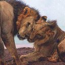 ���� ����, ���� - ��������� 7 ���� 2019 � ������ ���� ����������