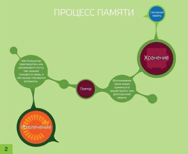 Работа памяти и способах её улучшения. Подборка советов. - 4