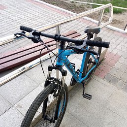 ���� ������, ���������, 33 ���� - ��������� 17 ���� 2019