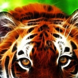 ���� Nik, ������, 40 ��� - ��������� 10 ������� 2019