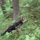 ���� �����, �����-���������, 69 ��� - ��������� 7 ���� 2019