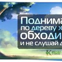 ���� �����, �������������� - ��������� 24 ���� 2019 � ������ �������