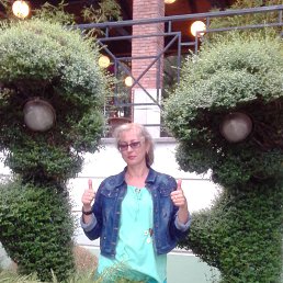 �����, ���������