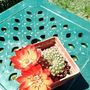 ���� Vidoje, �������, 61 ��� - ��������� 17 ������ 2019 � ������ ������ ��������