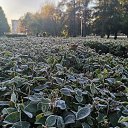  , , 50  -  4  2019   3.10.2019 