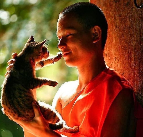 Много слышали о пользе медитации.и хотите попробовать? Mind Detox – это бесплатный курс по медитации ...