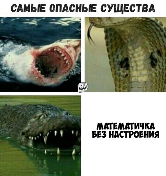 ������ �� ��� :D - 10 ������ 2019 � 03:27